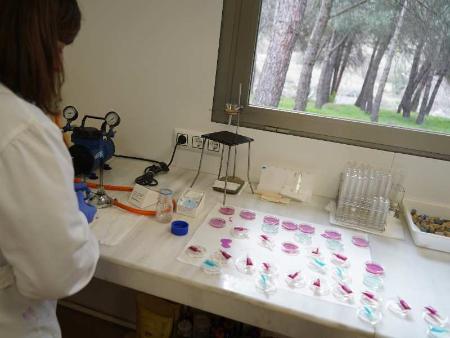 El laboratorio de la Diputación destaca el esfuerzo realizado por los municipios en las piscinas para minimizar el impacto de la COVID 19