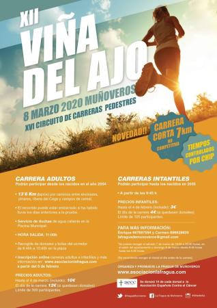 2ª Carrera Pedestre Viña del Ajo