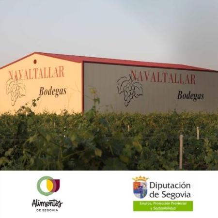 Cata de vino Navaltallar en Campo de San Pedro