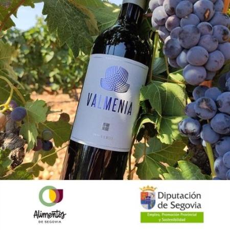 Cata de Vino Valmenia en Bercial