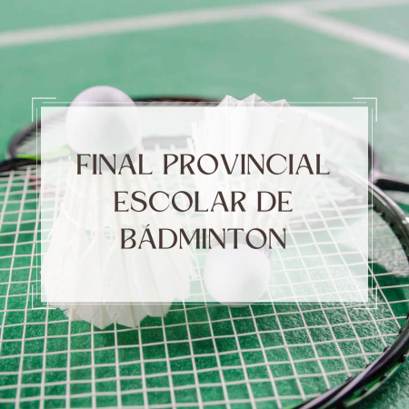 Final Provincia Escolar de Bádminton