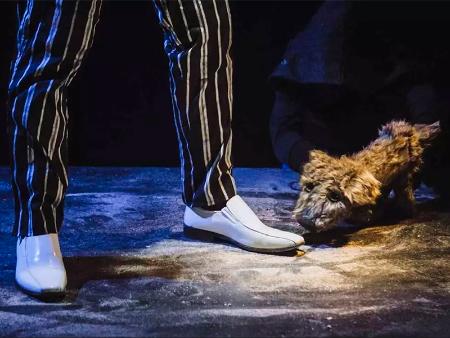 La compañía Cal y Canto regresa al Teatro Juan Bravo con ‘Lost dog’ y su ánimo de educar frente al abandono y el maltrato animal