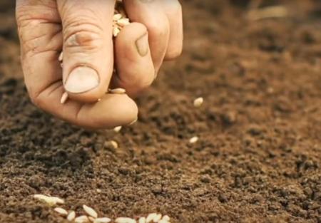 Imagen La Diputación de Segovia presenta ‘Secanos Vivos’ a través del programa de educación medioambiental ‘Enreda en Verde’