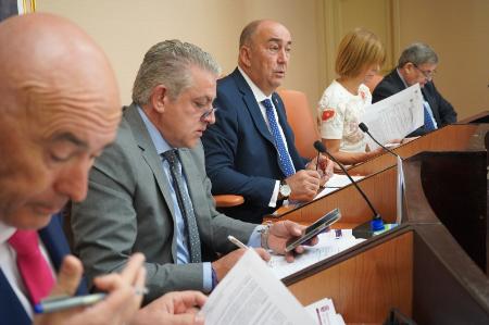 La alcaldesa de Brieva, Pilar Martín Sampedro toma posesión como nueva diputada en el Pleno de la Diputación de Segovia