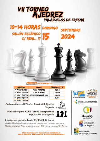 CARTEL AJEDREZ 24