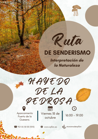 Imagen RUTA - HAYEDO DE LA PEDROSA - 18 DE OCTUBRE