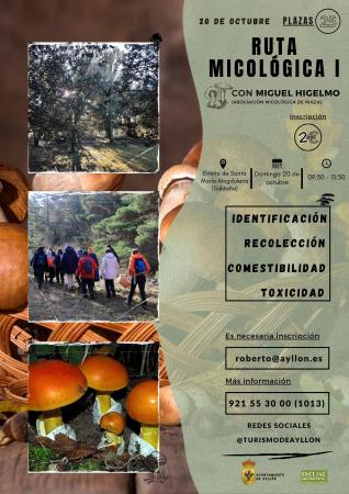 Imagen JORNADAS MICOLÓGICAS I - SALDAÑA