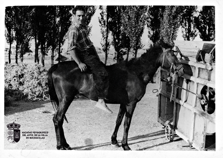 Antonio García con macho y beldadora
