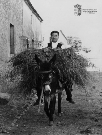 Román, 1955