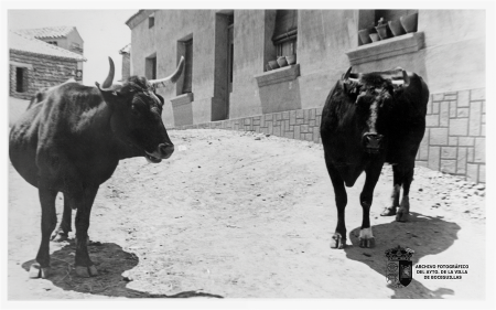 Las vacas