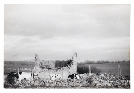 Ruinas