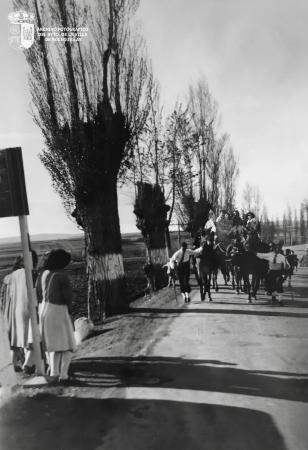 Los carros en la Carretera de Madrid-Irún