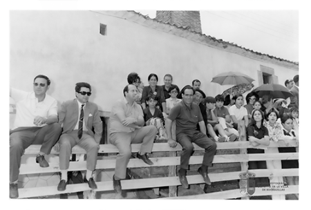 Toros en la calle Bayona V
