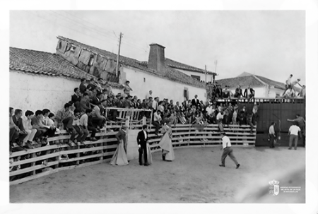 Toros en la calle Bayona VII
