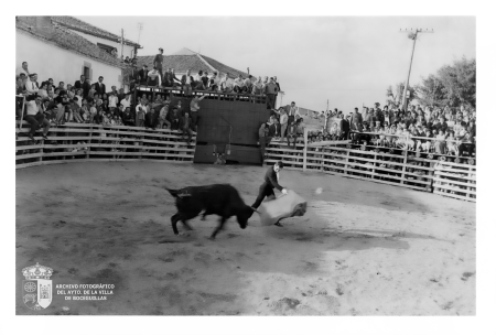 Toros en la calle Bayona XI
