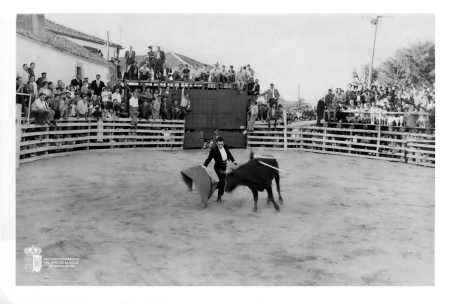 Toros en la calle Bayona XII