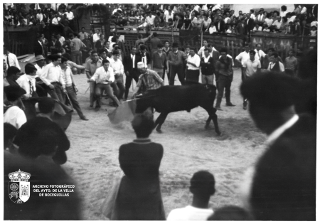 Toros (1976)