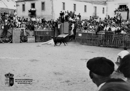 Toros (1976) II