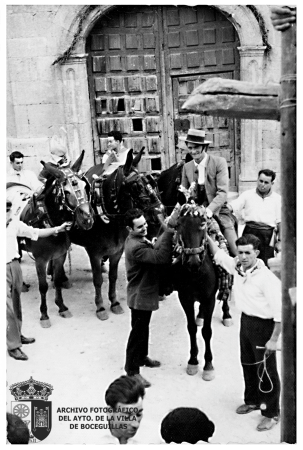 Toros en la Plaza de España VIII