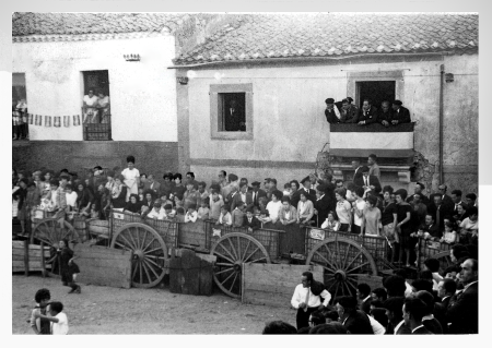 Toros en la Plaza de España XIV