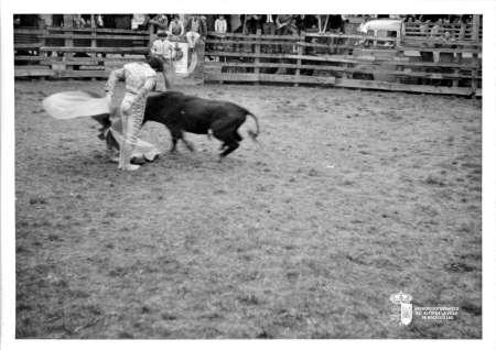 Toros en la calle Bayona XIV (1969)
