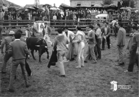 Toros en la calle Bayona XV (1969)