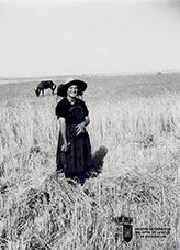 Basi Casado (1954)
