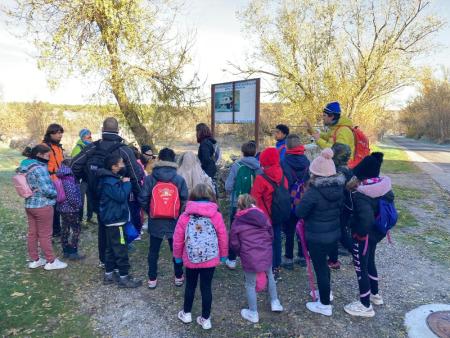 Deporte en Edad Escolar 2024-2025
