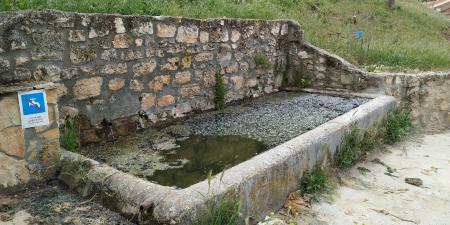 Imagen PROYECTO FUENTES. Volumen IV