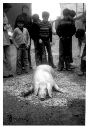 La matanza. Calle Antonio García Matesanz