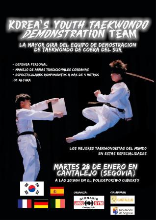 KOREA'S YOUTH TAEKWONDO DEMONSTRATION TEAM