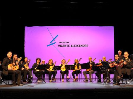 La Orquesta Vicente Aleixandre cierra en el Teatro Juan Bravo las XIV Jornadas de Plectro y Guitarra de Segovia