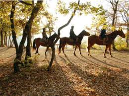 Imagen de RUTAS A CABALLO ESPAÑA
