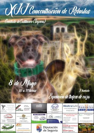 XII Concentración de Rehalas